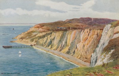 Alum Bay, Isola di Wight da Alfred Robert Quinton